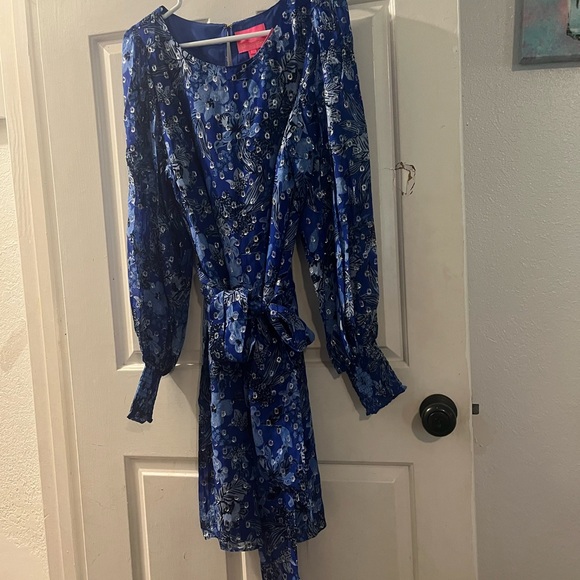 Lilly Pulitzer dress - Picture 3 of 4